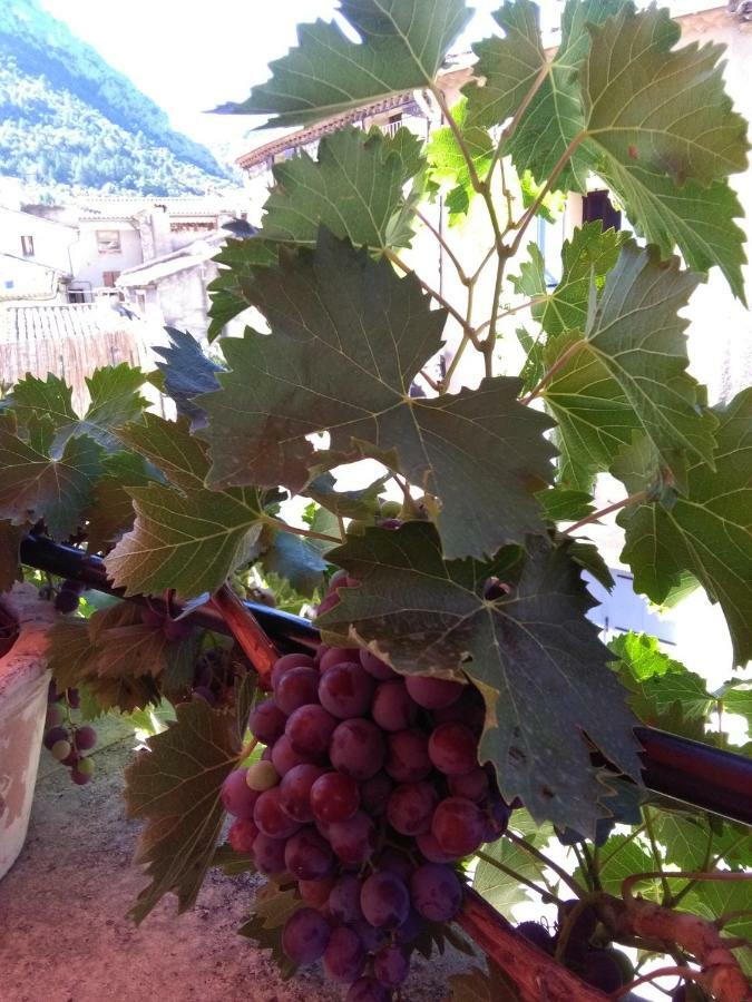 La Maison Derriere La Fontaine Buis-les-Baronnies Eksteriør bilde